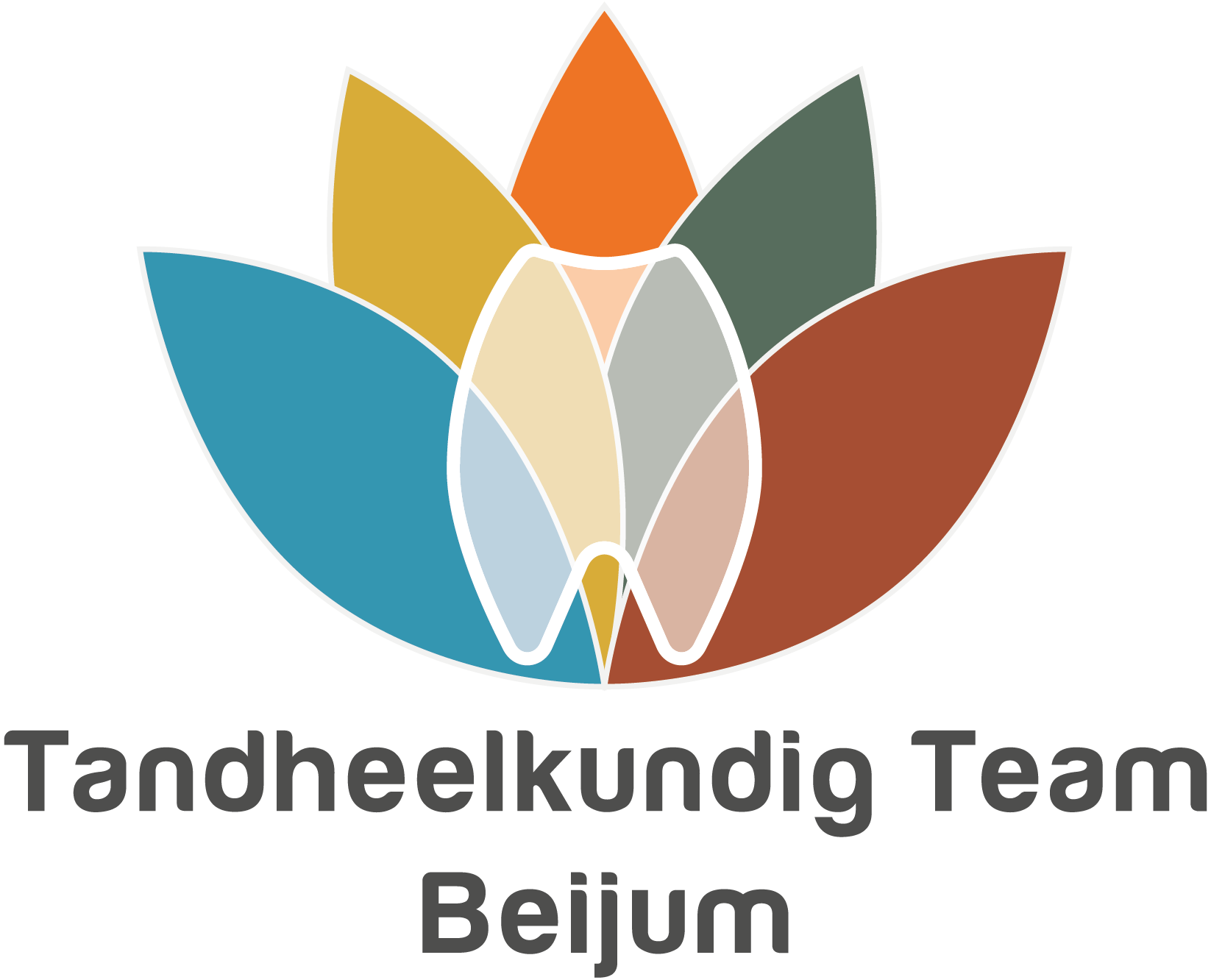 Tandheelkundig Team Beijum